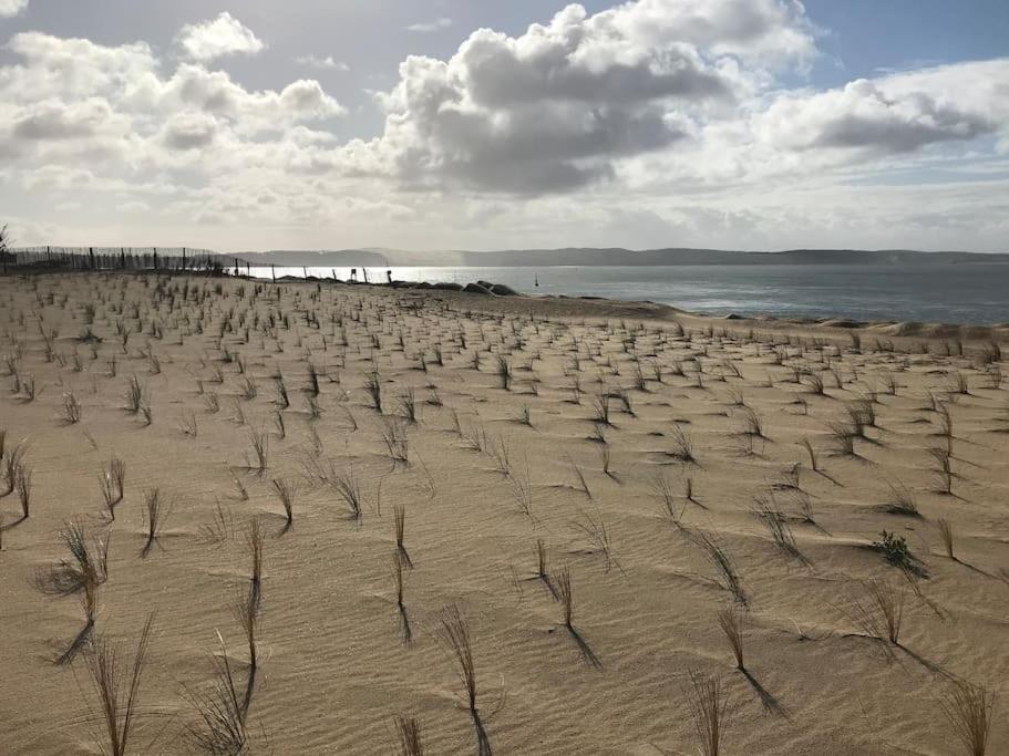 Maison Familiale Au Coeur Du Bassin D'arcachon * Biganos