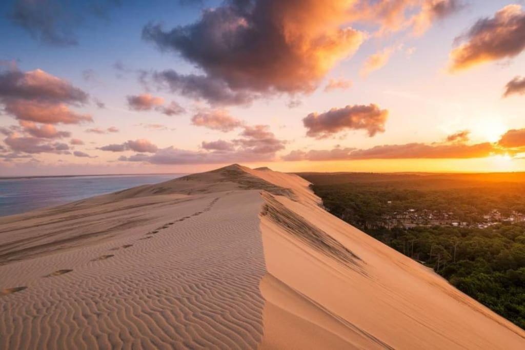 Maison Familiale Au Coeur Du Bassin D'arcachon Hébergement de vacances Biganos